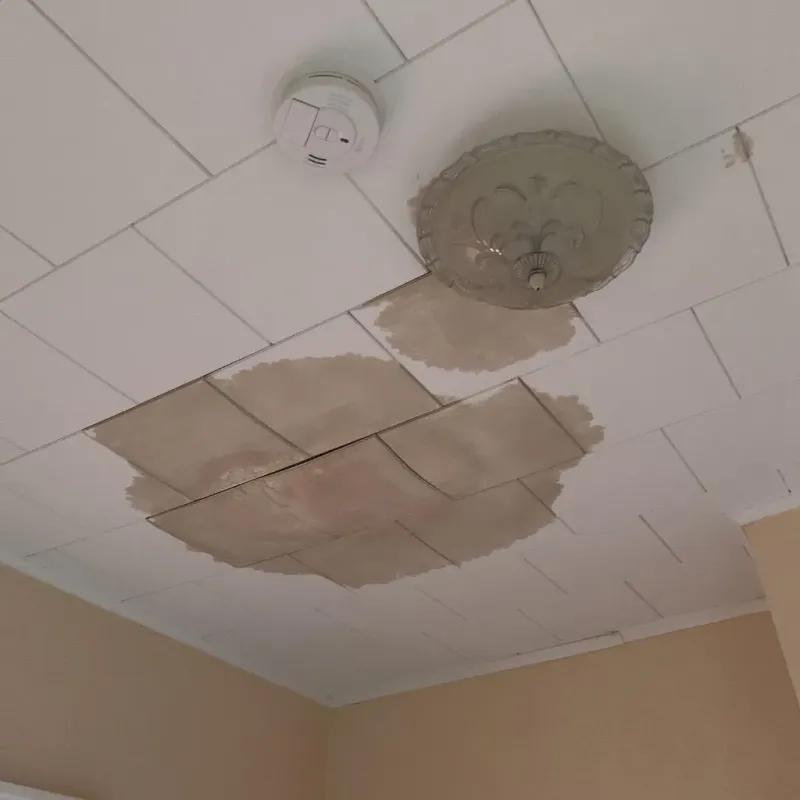 Ceiling Water Damage Repair in Blue Grass, IA