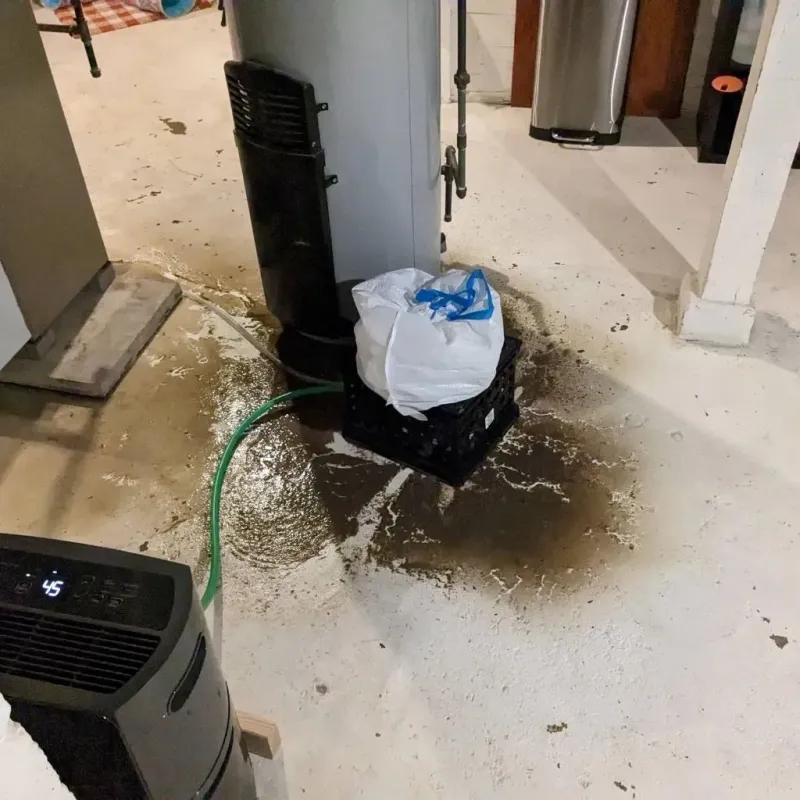Sewage Backup Cleanup Service in Blue Grass, IA